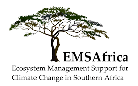 Logo EMS Africa