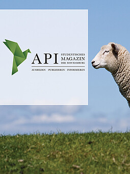 API-Magazin